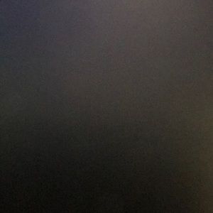 Meet your Posher, Leo